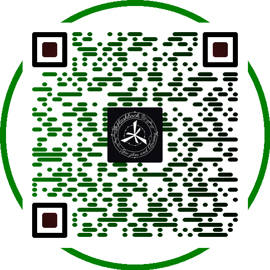 Professional QR Code 9